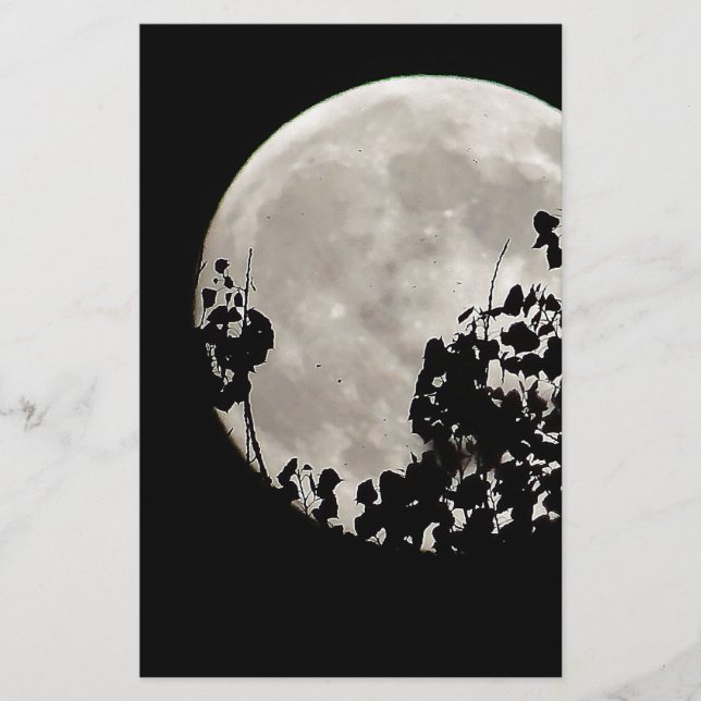 Lune derrière feuilles sombres (Devant)