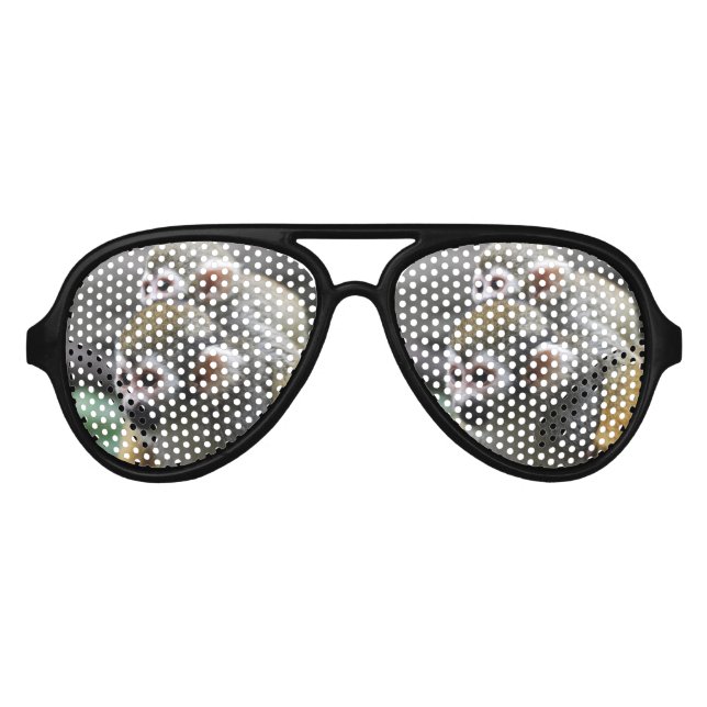 Lunettes De Fête Aviateur Affaire du singe écureuil (Devant)