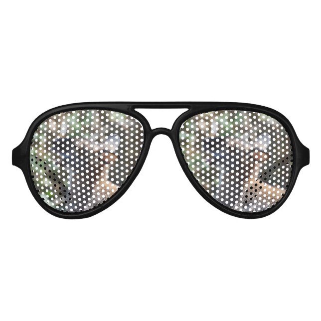 Lunettes De Fête Aviateur Belle Wallaby (Devant)