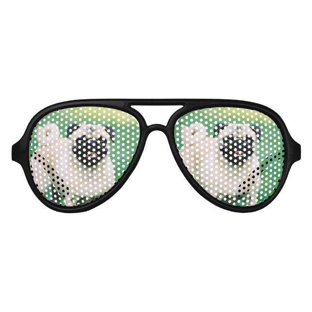 Lunettes De Fête Aviateur Carlin positionné (Devant)