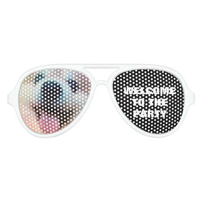Lunettes De Fête Aviateur Cute Dog Photo Pomeranian Anniversaire Party (Devant)