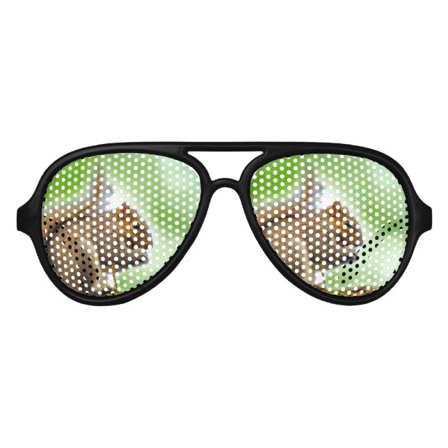Lunettes De Fête Aviateur Écureuil (Devant)