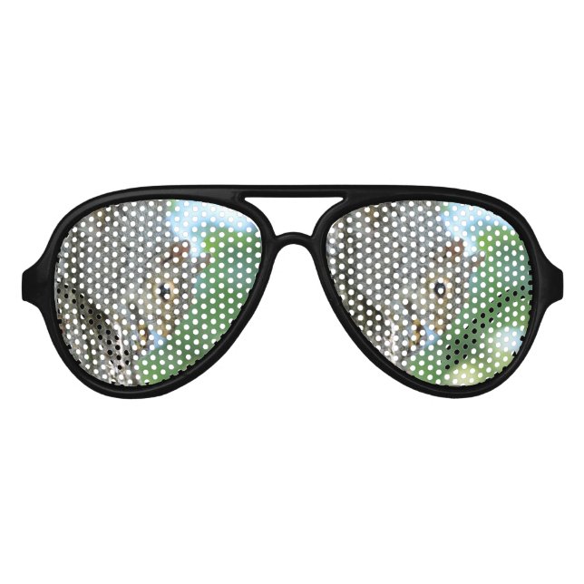 Lunettes De Fête Aviateur Écureuil accroché dans un arbre (Devant)