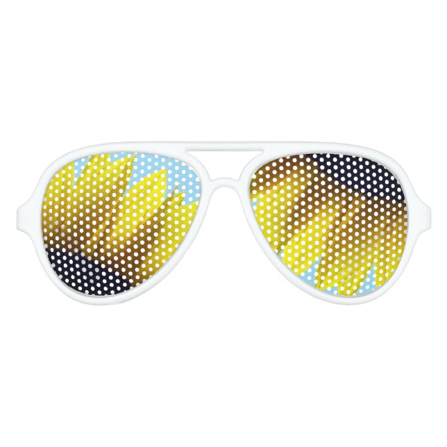 Lunettes De Fête Aviateur Tournesol (Devant)