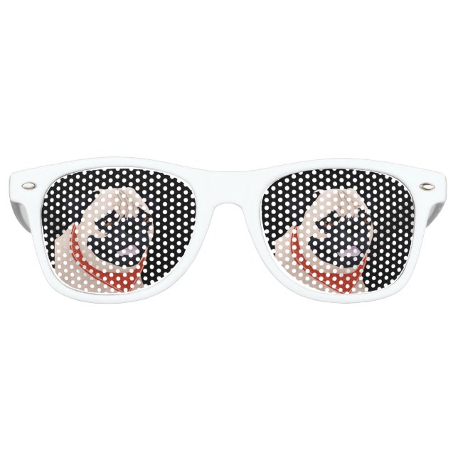 Lunettes De Fête Retro Caricature carlin (Devant)
