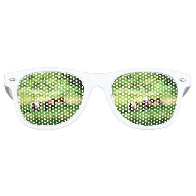 LUNETTES DE FÊTE RETRO CHEVAUX (Devant)