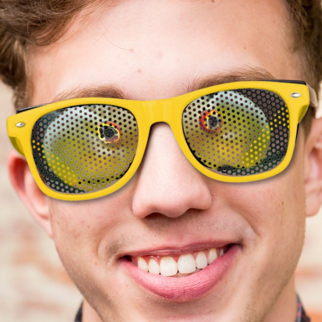 Lunettes De Fête Retro cool moderne nerdy fou yeux de poisson rouge (modern cool nerdy crazy goldfish eyes retro sunglasses)