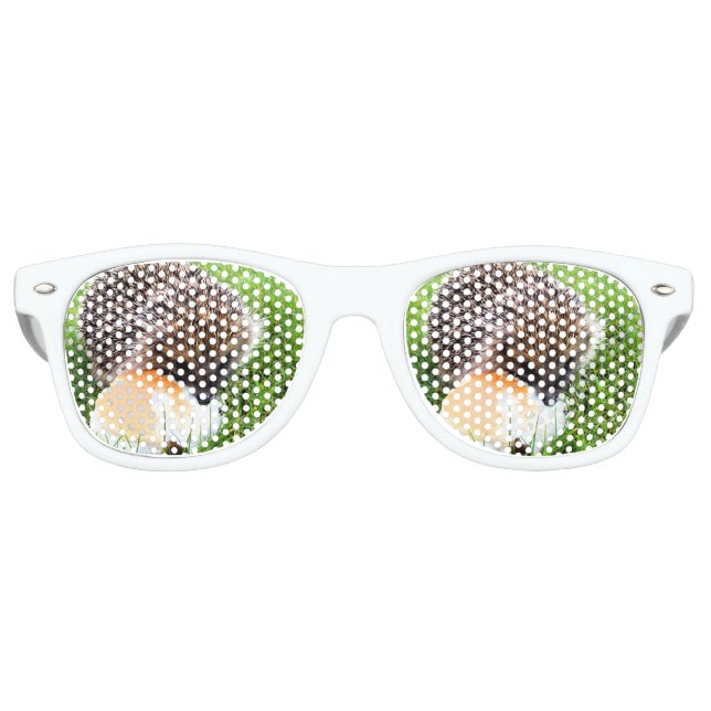 LUNETTES DE FÊTE RETRO HÉDGEHOG (Devant)