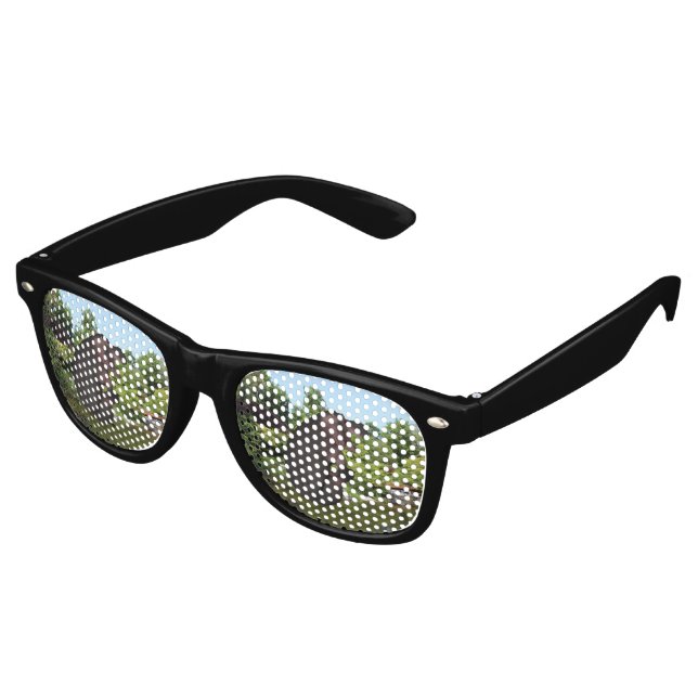Lunettes De Fête Retro Hippo de canonball (Angulaire)