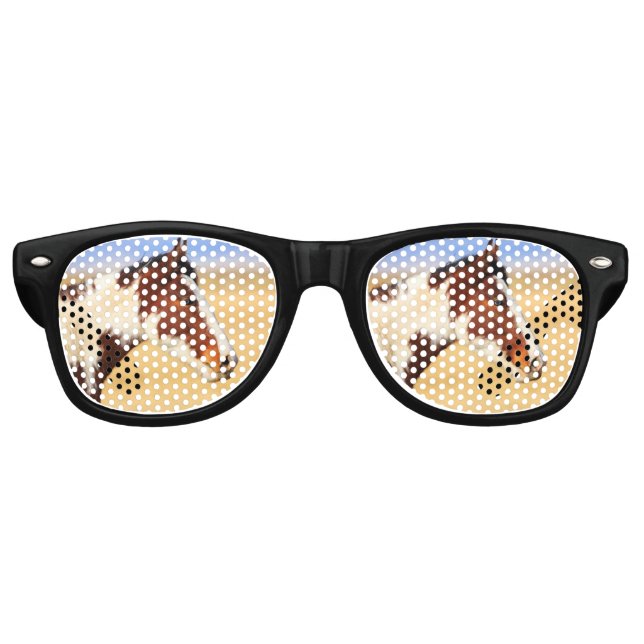 Lunettes De Fête Retro Western Pinto Mustang (Devant)
