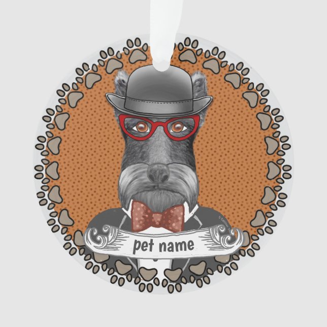 Lunettes de Schnauzer âgé (devant)