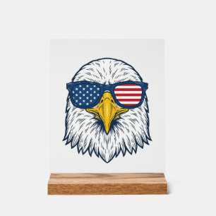 Lunettes de soleil aigle patriotique dessin vector