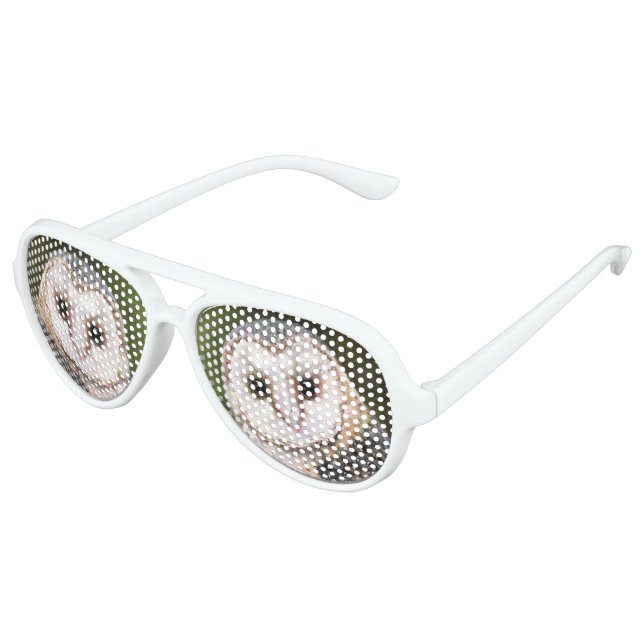 Lunettes de soleil amusantes de la chouette de l'O (Angle)
