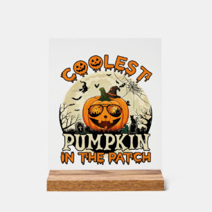 Lunettes de soleil Coolest Pumpkin Patch Chapeau d
