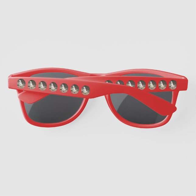 Lunettes De Soleil Meerkat Blanc En Cercles, Sommaires (Dos)