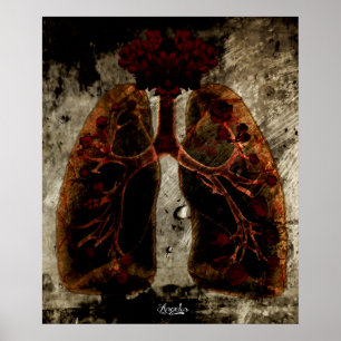 Lung' rosa poster