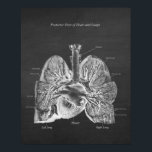 Lunge Herzanatomie Art Deco Posterior Ansicht Poster<br><div class="desc">Posterior Ansicht von Lungen und Herz. Anatomie Art Decor. Das ist einer der Drucke,  die unsere Anatomy Lungs Art Serie ausmachen. Bitte suchen Sie nach den anderen Lung Anatomy Artwork in unserem Zazzle Shop. (https://www.zazzle.com/store/humanbodyillustrated)</div>