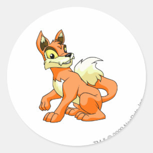 Lupe Orange Runder Aufkleber