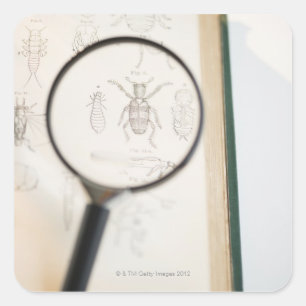 Lupe über dem Buch, das Insekten zeigt Quadratischer Aufkleber