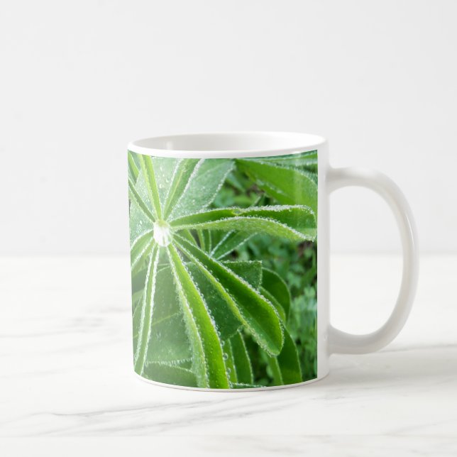 Lupin-Blätter Botanische Fotografie Kaffeetasse (Rechts)