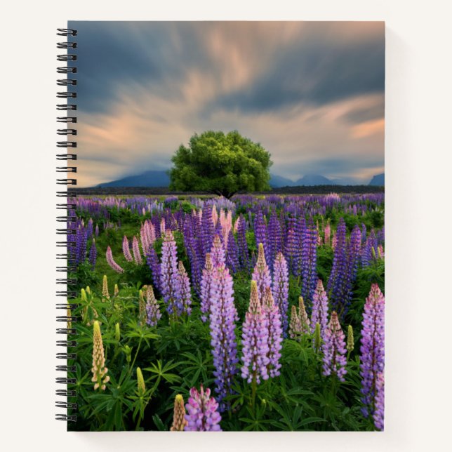 Lupin Field in Neuseeland Notizbuch (Vorderseite)