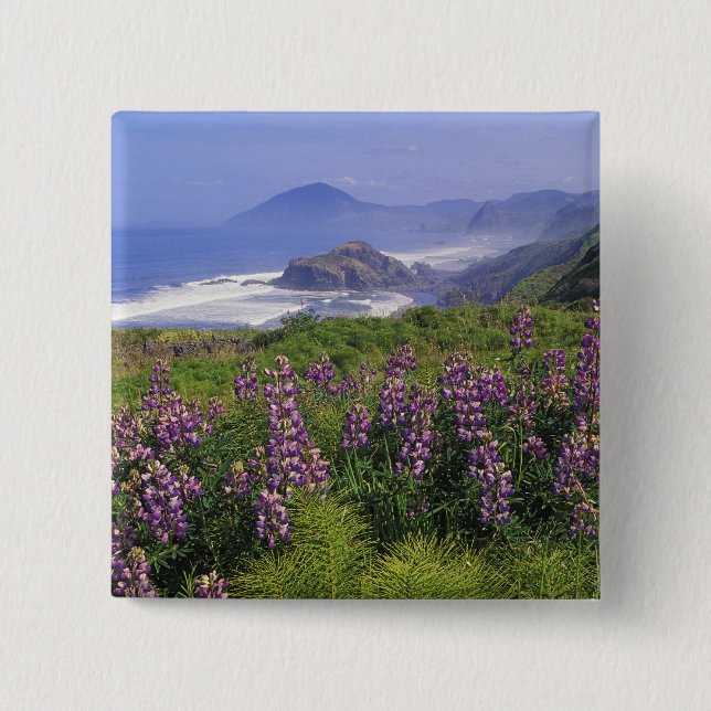 Lupine-Blume und zerklüftete Küste entlang Button (Vorderseite)