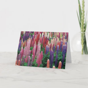 Lupine-Blumen-leere Gruß-Karte Dankeskarte