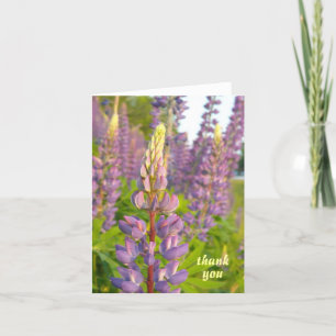Lupine danke