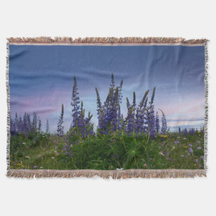 Lupine   decke