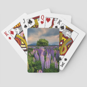 Lupine-Feld in Neuseeland Spielkarten
