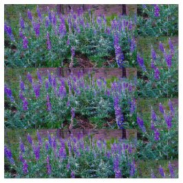 Lupine Fields Stoff
