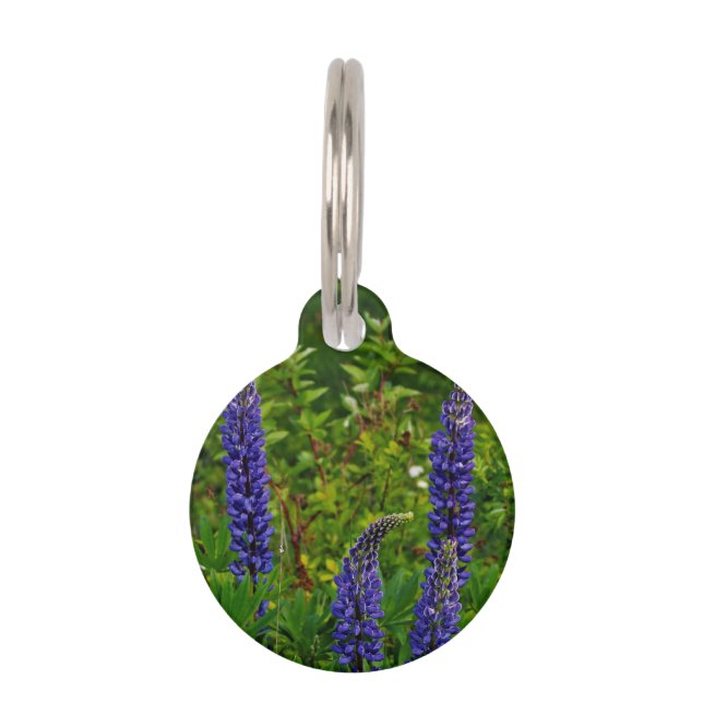 Lupine Haustiermarke (Vorderseite)