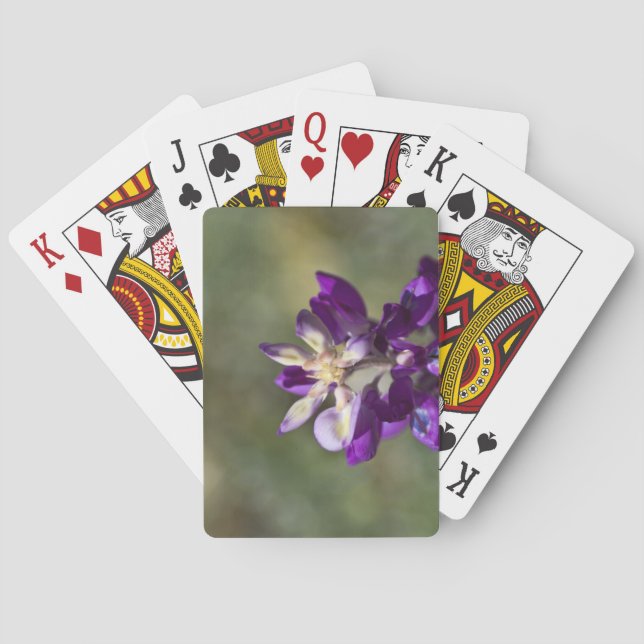Lupine Nah-up Spielkarten (Rückseite)
