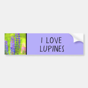 Lupine Painting - Originelle Blume Kunst Autoaufkleber