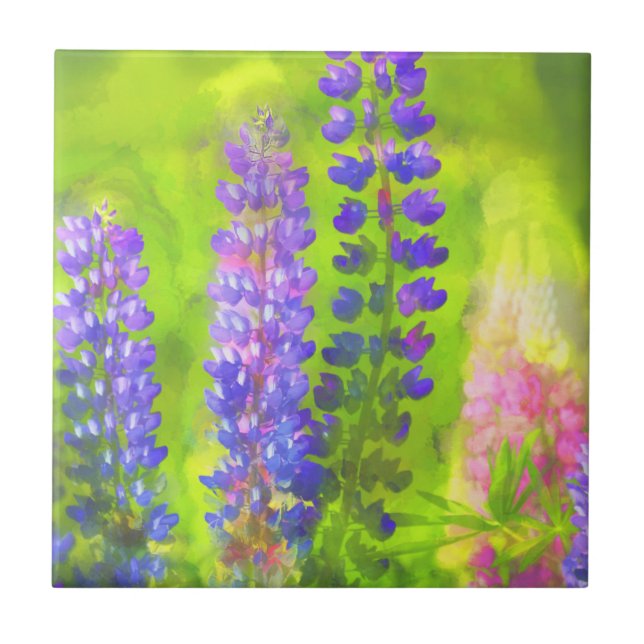 Lupine Painting - Originelle Blume Kunst Fliese (Vorderseite)