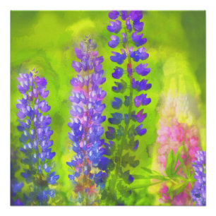 Lupine Painting - Originelle Blume Kunst Poster