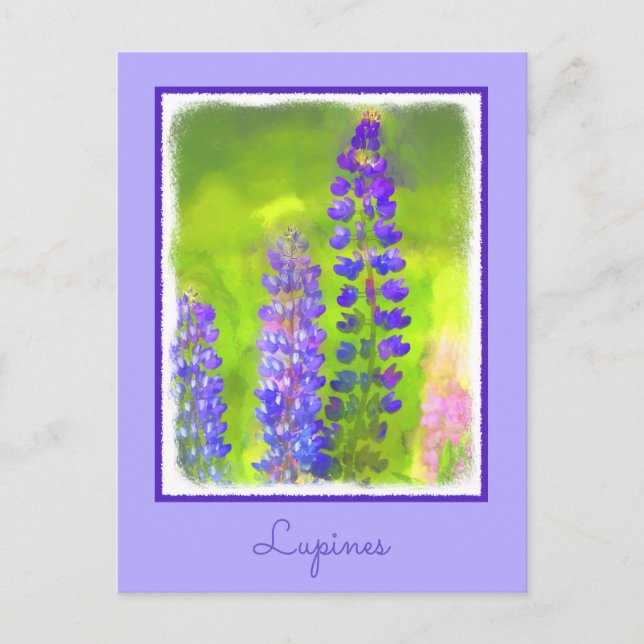 Lupine Painting - Originelle Blume Kunst Postkarte (Vorderseite)