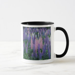 Lupine Tasse