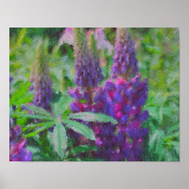 Lupine Trio Impressionist Blume Foto Malerei Poster (Vorne)