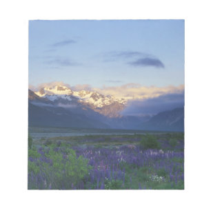 Lupine und die Hauptabteilung, Arthur's Pass, Süde Notizblock