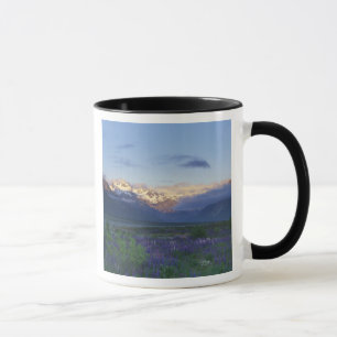 Lupine und die Hauptabteilung, Arthur's Pass, Süde Tasse