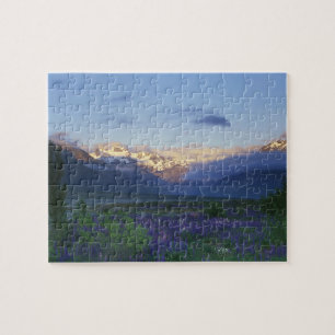 Lupine und die Hauptspalte, Arthur's Pass, Süd