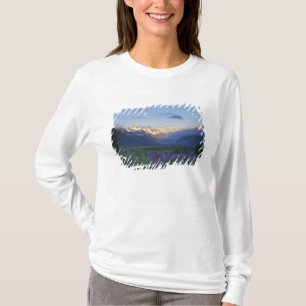 Lupine und die Hauptspalte, Arthur's Pass, Süd T-Shirt