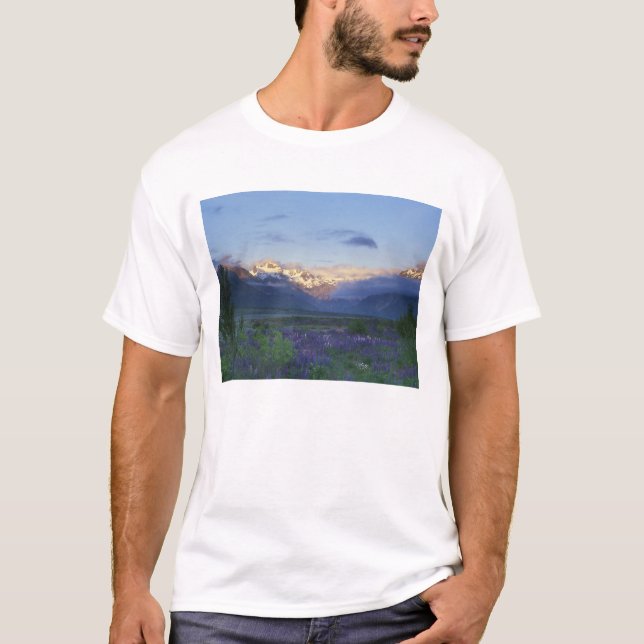 Lupine und die Hauptspalte, Arthur's Pass, Süd T-Shirt (Vorderseite)