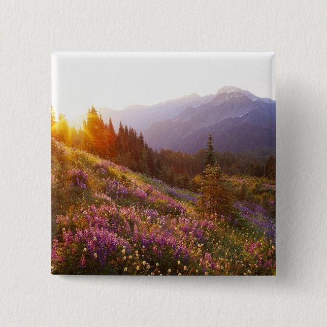 Lupine- und Olympiaregion Button (Vorderseite)