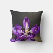 Lupine Wonder