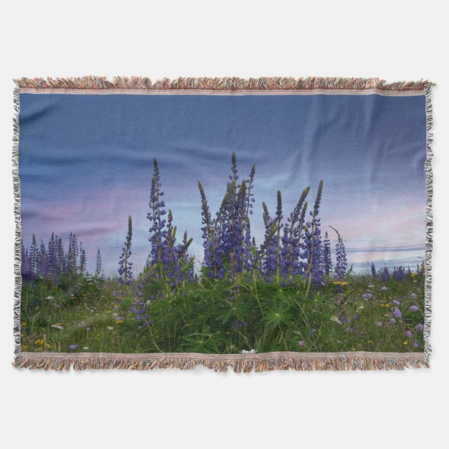 Lupinen   decke (Vorderseite)