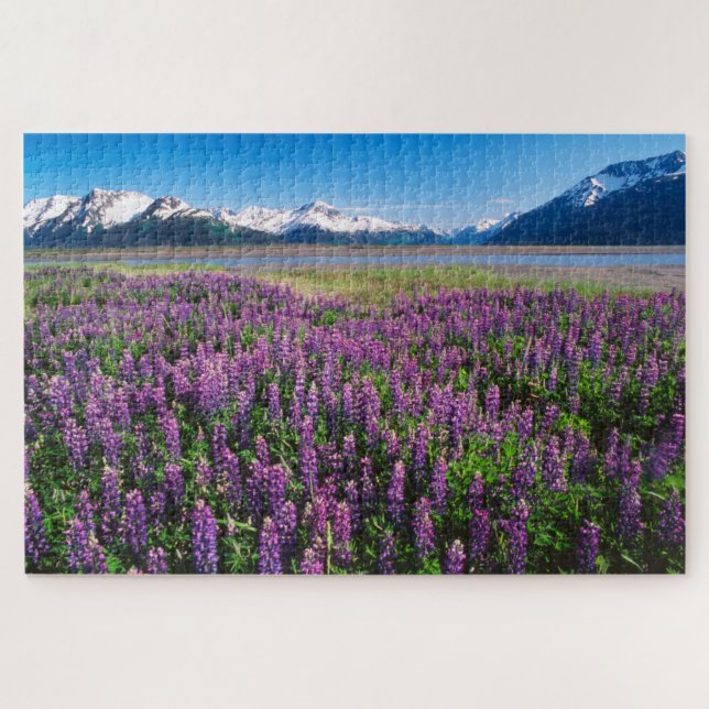 Lupinen in Bloom | Kenai Mountains, Alaska (Horizontal)