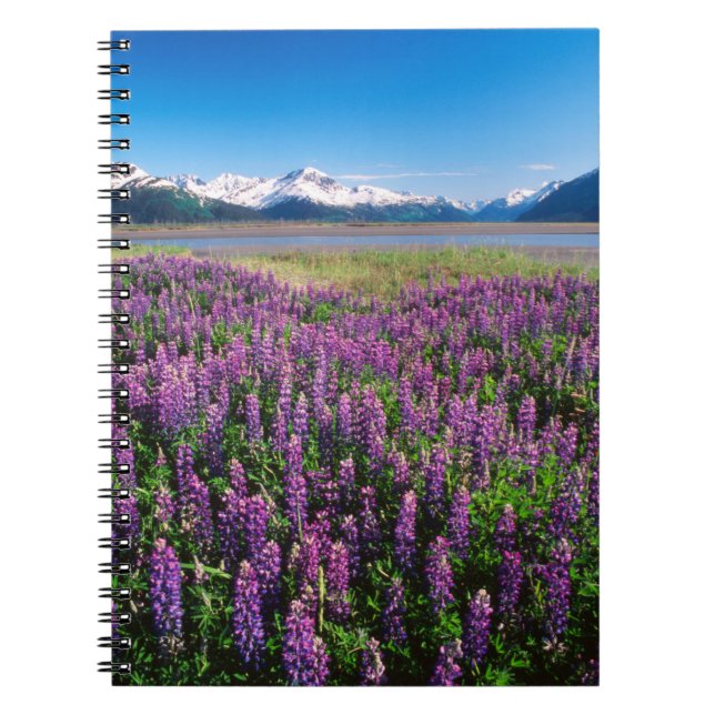 Lupinen in Bloom | Kenai Mountains, Alaska Notizblock (Vorderseite)