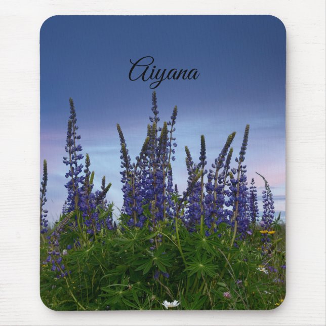 Lupinen     mousepad (Vorne)